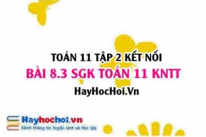 Bài 8.3 SGK Toán 11 Tập 2 Kết nối tri thức